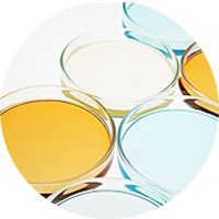 單細(xì)胞測(cè)序                       